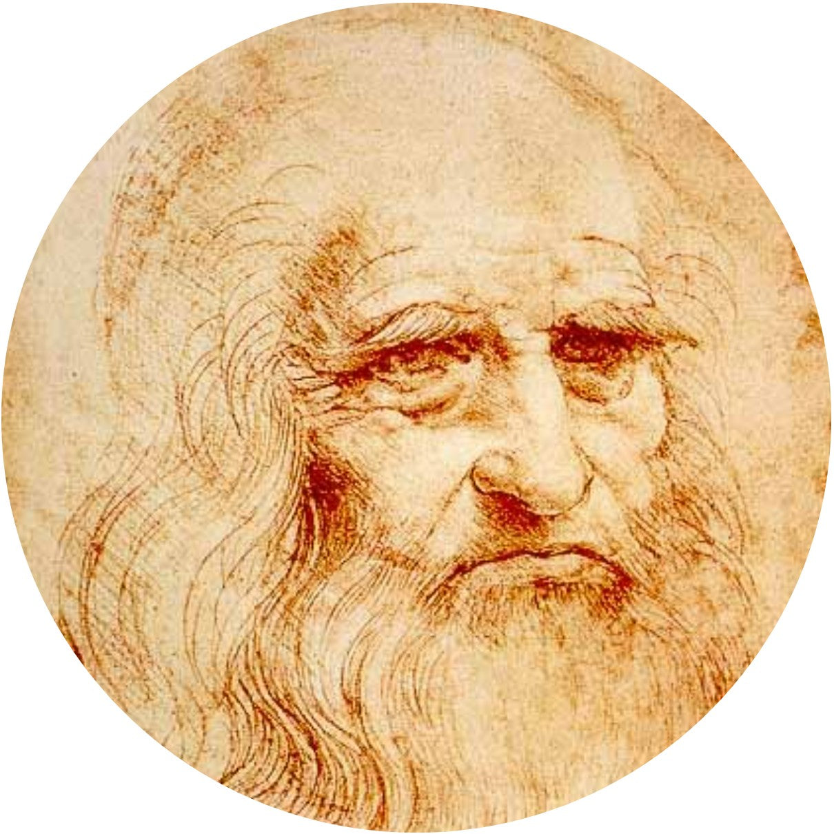 Leonardo DA VINCI