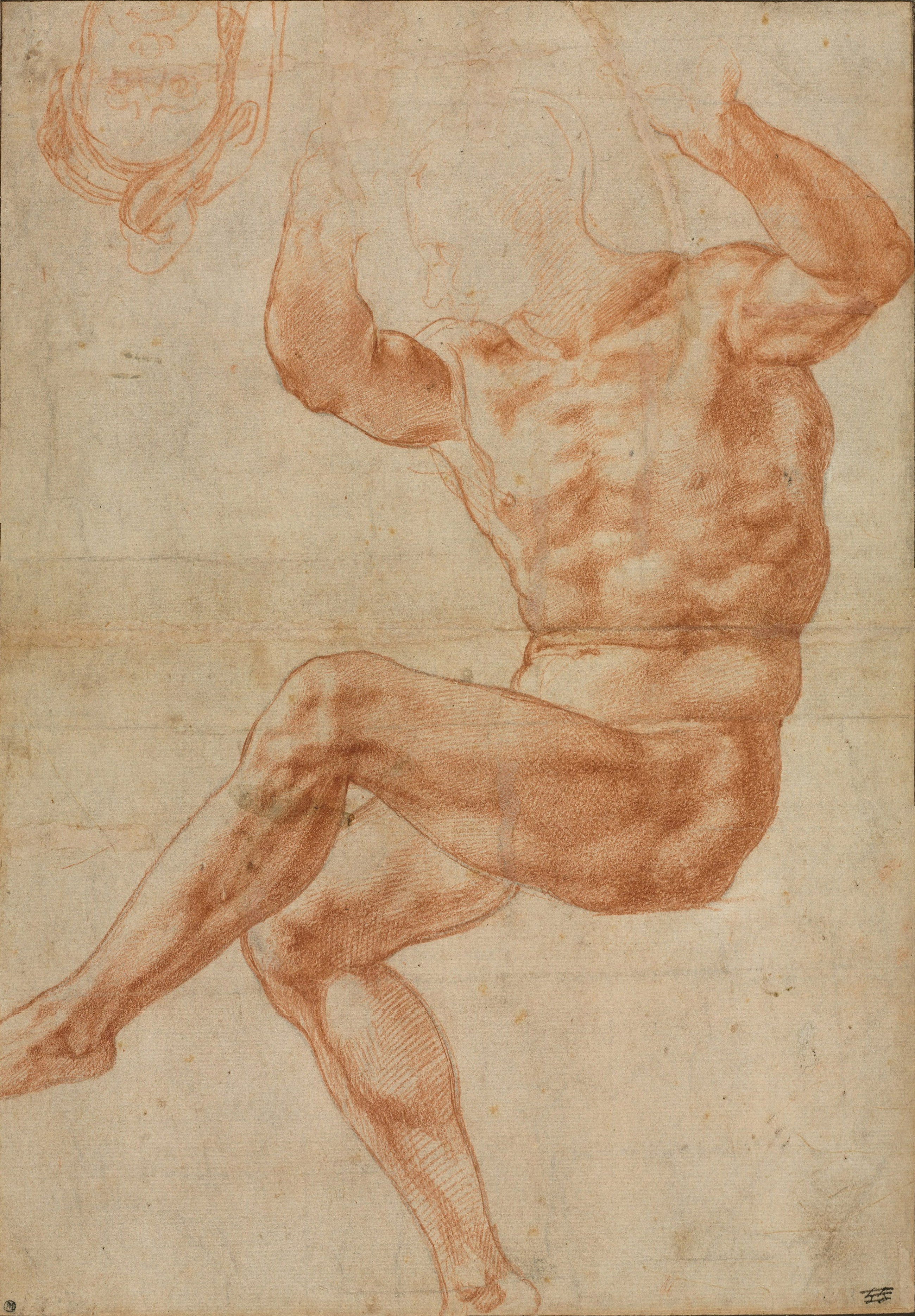 Profeta Daniele, studio di nudo