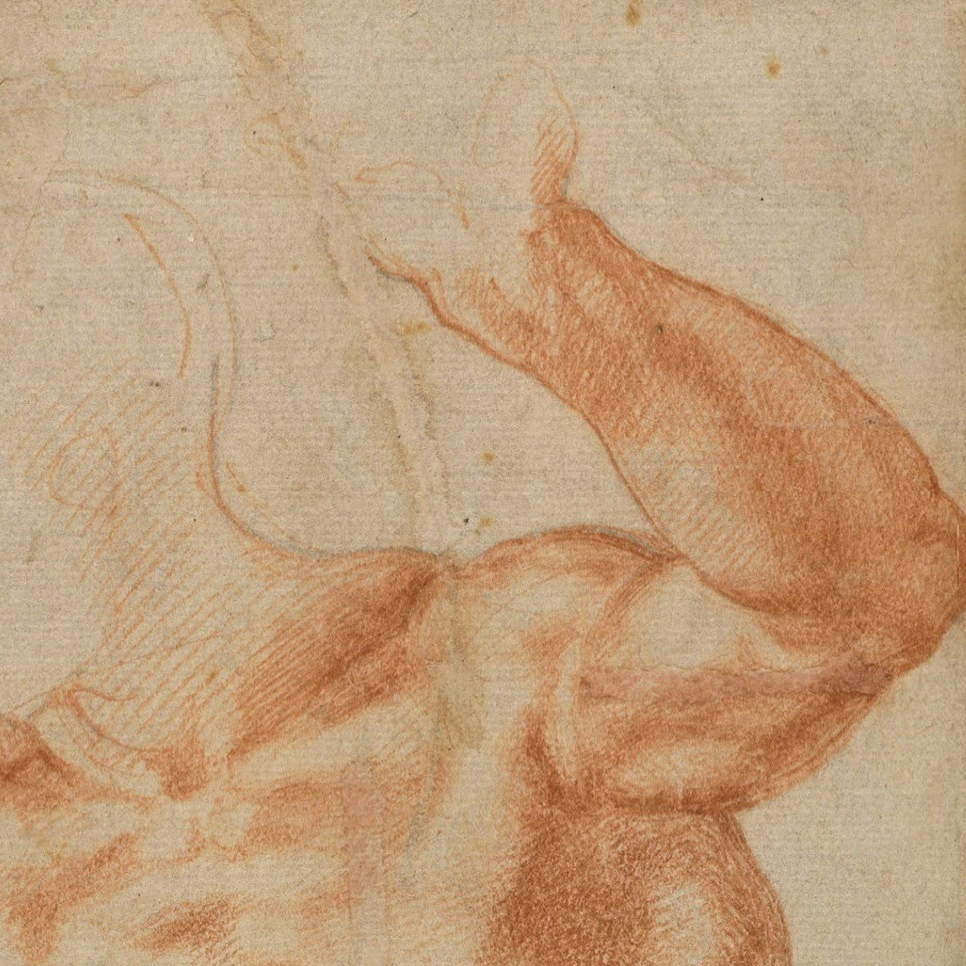 Profeta Daniele, studio di nudo